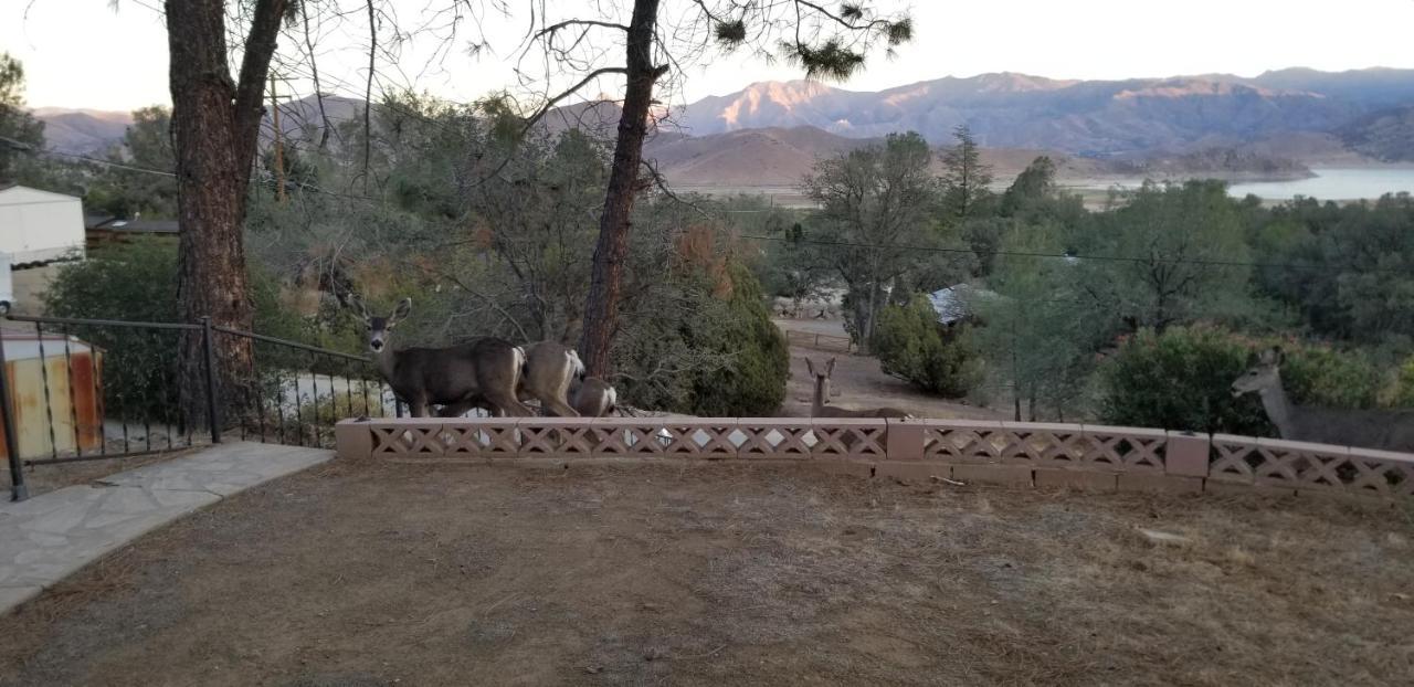 3Br Panoramic Lake View, Sequoia Forest, Kern County Wofford Heights エクステリア 写真